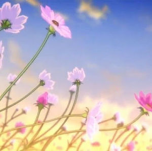 Meet your Posher, Evie